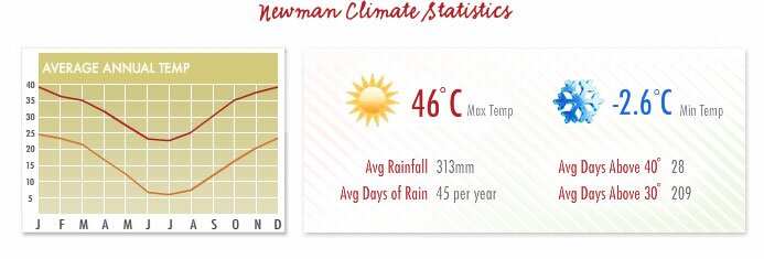 Newman Av Temp